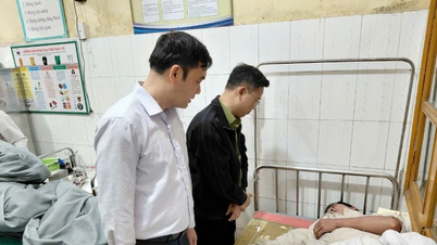 Ribut hujan batu mencederakan empat orang dan menyebabkan kerosakan yang ketara terhadap pertanian di Lao Cai.