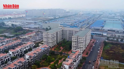 [Vídeo] Aluguéis de apartamentos por curtos períodos em prédios residenciais na cidade de Ho Chi Minh exigem registro comercial.