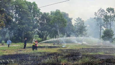Esforzándose por proteger los bosques de Tram Chim y Go Thap antes de la llegada del calor.