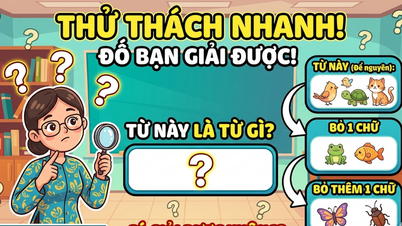 «ការ​ផ្លាស់​ប្តូរ» ក្នុង​ភាសា​វៀតណាម៖ តើ​ពាក្យ​ណា​បង្ហាញ​ពី​ប្រភេទ​សត្វ​ខុសៗ​គ្នា​ច្រើន​ជាង​មុន ​បើ​អក្សរ​របស់​វា​មាន​តិច?