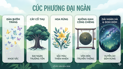 Mañana (17 de abril) tendrá lugar el "Festival Cultural y Deportivo de Grupos Étnicos - Parque Nacional Cuc Phuong 2026".