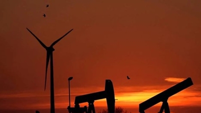 US crude oil inventories unexpectedly dropped sharply, and imports fell to a record low.