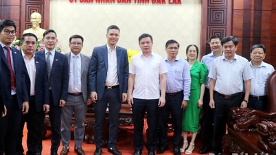 Vietnam Royal Investment Group Joint Stock Company föreslår investeringsidé i Dak Lak.