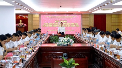 Ciudad Ho Chi Minh: Los ingresos fiscales en el primer trimestre aumentaron en más del 20%.