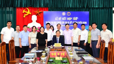 Das Gesundheitsministerium der Provinz Tuyen Quang und die Medizinische und Pharmazeutische Universität Can Tho haben ein Kooperationsabkommen für den Zeitraum 2026-2030 unterzeichnet.