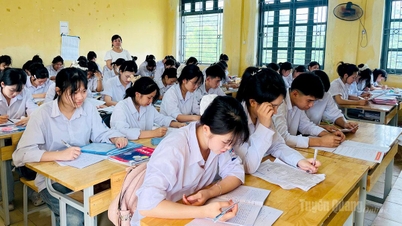 Dốc sức ôn tập