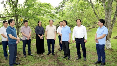 İl Parti Komitesi Denetleme Komisyonu Başkanı Nguyen Hung Vuong, Hong Thai beldesindeki topluluk turizmi geliştirme modelini ziyaret ederek incelemelerde bulundu.