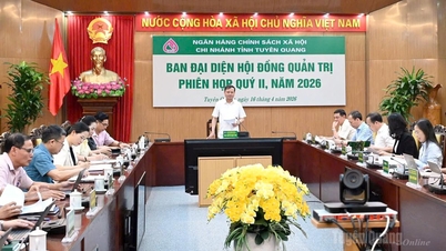 정책 기반 신용의 질을 향상시키고 사회 보장 자원의 효율성을 극대화합니다.