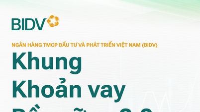 BIDV ប្រកាសពីក្របខ័ណ្ឌផ្តល់ប្រាក់កម្ចីប្រកបដោយចីរភាព 2.0
