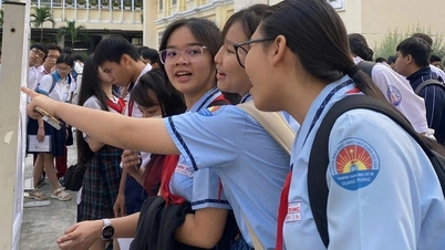 Integrierte Englischkurse für Zehntklässler in Ho-Chi-Minh-Stadt: Aktuelle Informationen zu den Zulassungsvoraussetzungen.
