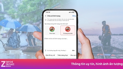 Zalo và những đóng góp cho Việt Nam