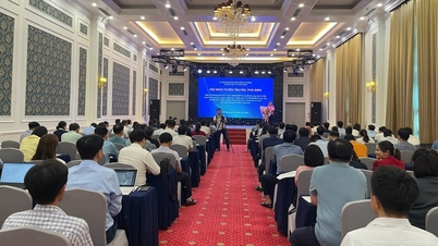 Vetenskaps- och teknikdepartementet i Hai Phong City anordnade en konferens för att sprida den ändrade lagen om produkt- och varukvalitet och främja digitaliseringen av ledningen.