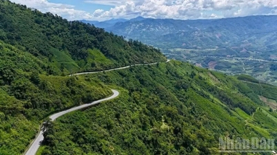 A província de Quang Ngai aprova um plano de investimento de 2,35 trilhões de VND para modernizar a Rodovia Nacional 24.