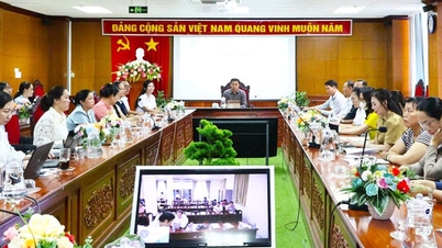 ພະນັກງານເກັບເງິນປະກັນໄພໃໝ່ຫຼາຍກວ່າ 350 ຄົນໄດ້ເລີ່ມເຮັດວຽກຢ່າງເປັນທາງການ.