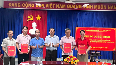 Créer un conseil d'administration représentatif pour la Banque de politique sociale dans le quartier de Tay Nha Trang.