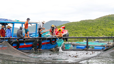 Recommandations pour la prévention des maladies des animaux aquatiques en prévision de conditions météorologiques extrêmes.