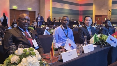 Der vietnamesische Boxverband hat einen neuen Präsidenten.