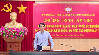 Biträdande sekreterare för den provinsiella partikommittén Nguyen Ngoc Luong arbetar med massorganisationer.