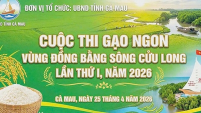 Ca Mau sediará a primeira Competição de Arroz Delicioso do Delta do Mekong em 2026.