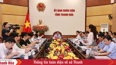 Organizing a unique Sam Son Tourism Festival in 2026, reflecting the rich cultural identity of Thanh Hoa province.