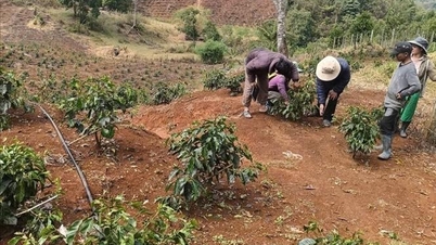 Quảng Ngãi cảnh báo thời tiết cực đoan do mưa trái mùa