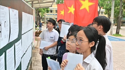 Transformasi digital dalam pendaftaran sekolah dasar - solusi terobosan untuk Hanoi.