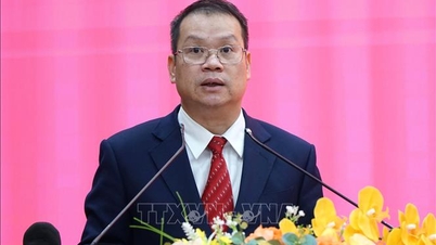 Egy speciális mechanizmust javaslunk Da Nang város déli részének dinamikus városi klaszterének fejlesztésére.