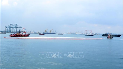 Quang Ngai annonce trois zones maritimes où les matériaux de dragage pourront être déversés.