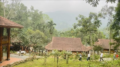 Yen Bai – en "grön oas" i hjärtat av Hanoi