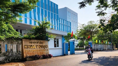 Da Nang is considering relocating the University Village to the south of the city.