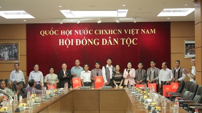 Phó Chủ tịch Hội đồng Dân tộc Đinh Thị Phương Lan tiếp Đoàn đại biểu người có uy tín tỉnh Quảng Ngãi