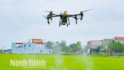 Yen Mo Commune launches a cooperative group for drone-based pesticide spraying services.