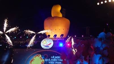 The Golden Cashew Festival is scheduled to take place from May 21st to 23rd.