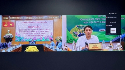 Lai Chau: Preparada para una importante conferencia sobre el desarrollo de la agricultura comercial y las plantas medicinales en consonancia con una economía verde.