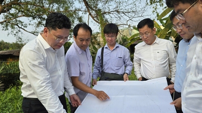 El vicepresidente de la ciudad de Ho Chi Minh, Hoang Nguyen Dinh, dijo: "Se organizará pronto el reasentamiento para el Complejo Deportivo Rach Chiec".