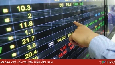 Index VN vzrostl o více než 19 bodů.