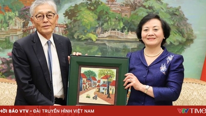 A vietnami-japán együttműködés előmozdítása a helyi tisztviselők képzése és kapacitásépítése terén.
