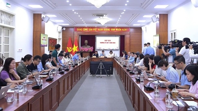 Vietnam consistently inspires confidence in international tourists as a safe and attractive destination.
