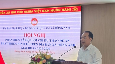 Il comune di Dong Anh sta cercando il parere di esperti sul suo piano di sviluppo economico.