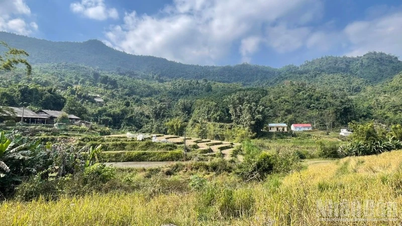 The Ministry of Ethnic Minorities and Religions is implementing a program for building new rural areas and achieving sustainable poverty reduction for the period 2026-2035.