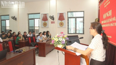 Son La implements the Law on Population and population-related activities and development.