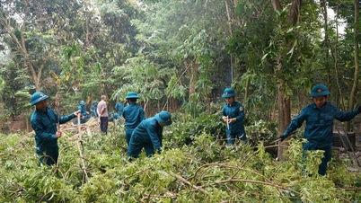 Hundreds of militia members, officials, and staff from Dien Bien Phu ward assisted residents in relocating and handing over land for a key project.
