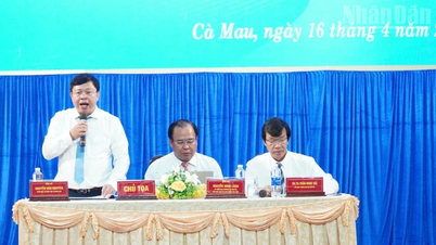 Ca Mau: ڈیجیٹل دور میں تعلیم کی تعمیر