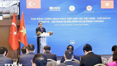 Menggalakkan kerjasama ekonomi, perdagangan, pelaburan dan pelancongan antara Vietnam dan Turki dengan gigih.