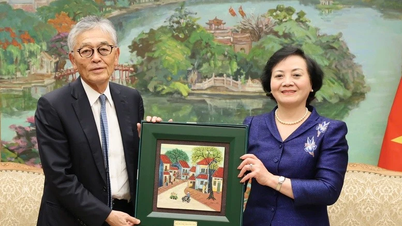 Místopředseda vlády Pham Thi Thanh Tra přijal předsedu představenstva a generálního ředitele skupiny Erex.