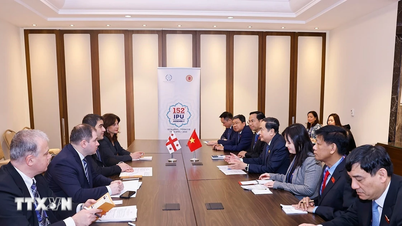 National Assembly Chairman Tran Thanh Man meets with the Speaker of the Georgian Parliament.
