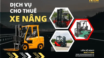 Southern Forklift - Service de location de chariots élévateurs fiable et abordable à Hô Chi Minh-Ville.