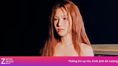 Lý do Hương Tràm nhận 'bão phẫn nộ'