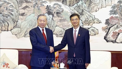 Le secrétaire général et président a rencontré le secrétaire du comité du Parti de la région autonome Zhuang du Guangxi.
