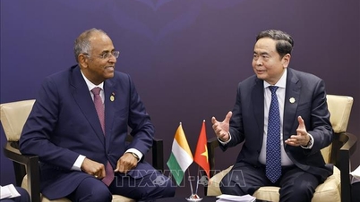 Ulusal Meclis Başkanı Tran Thanh Man, Fildişi Sahili Ulusal Meclisi Başkanı ile bir araya geldi.
